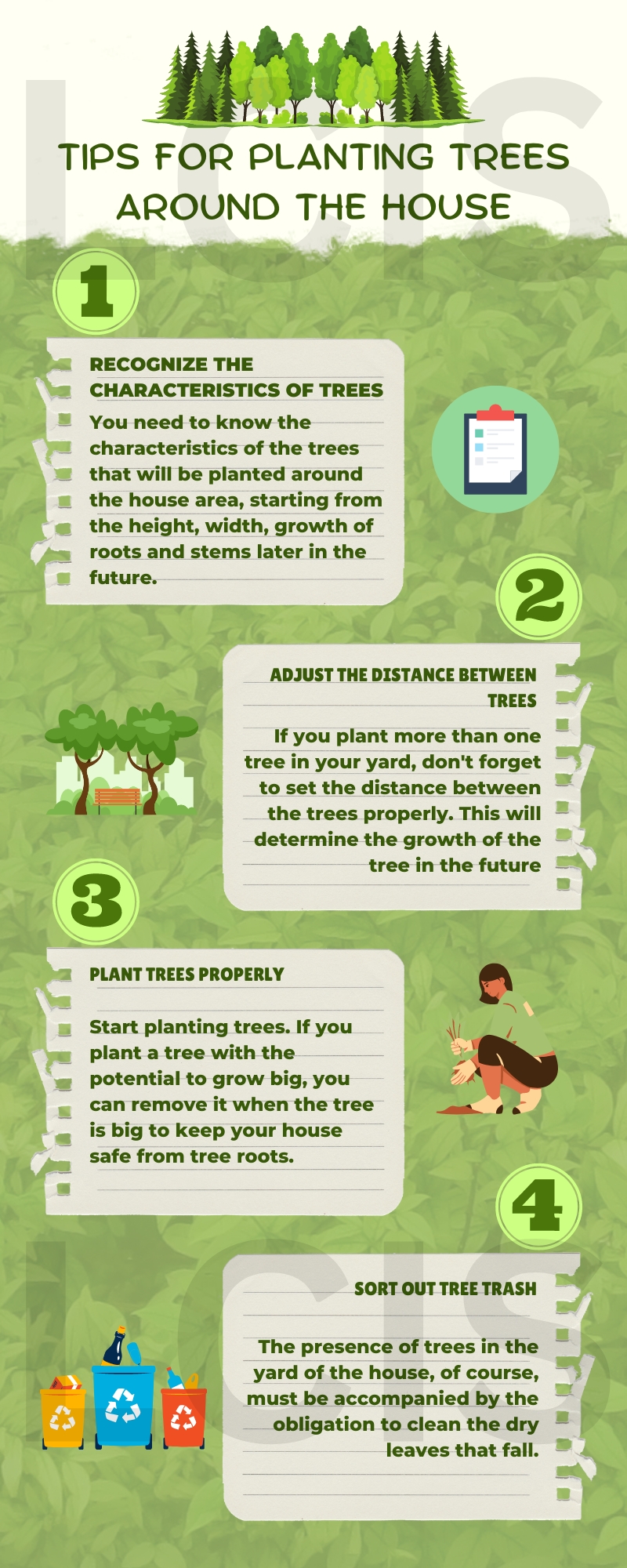 Tips for planting tree around the house